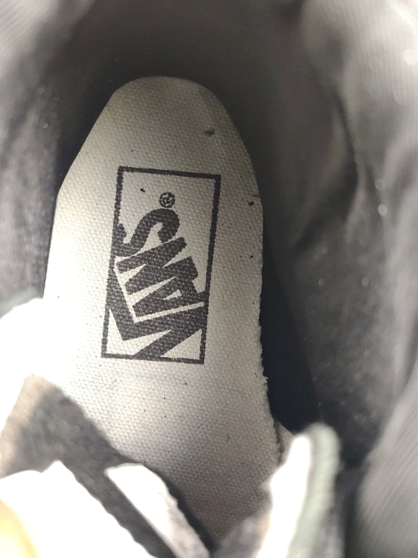 Vans old school